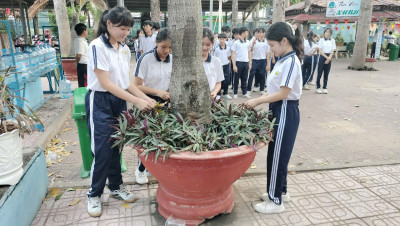 Học sinh đang chăm sóc cây xanh